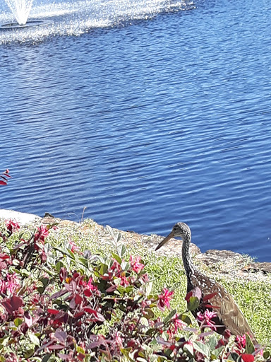 Golf Club «Swiss Golf & Tennis Club», reviews and photos, 494 Century Dr, Winter Haven, FL 33881, USA