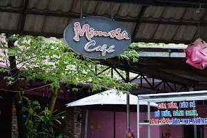 Cafe Mimosa image