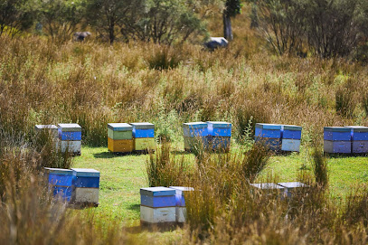 Pouatu Manuka