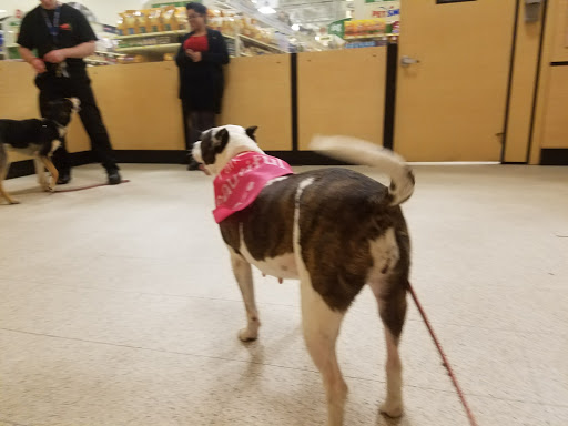 Pet Supply Store «PetSmart», reviews and photos, 299 Loudon Rd, Concord, NH 03301, USA