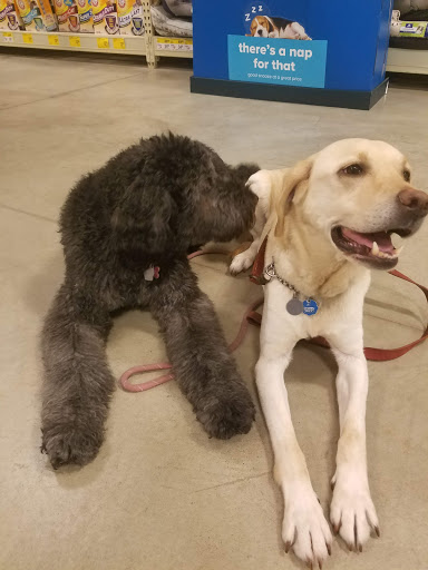 Pet Supply Store «PetSmart», reviews and photos, 1116 S Rochester Rd, Rochester Hills, MI 48307, USA