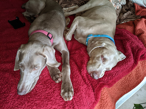 Pet Supply Store «Stillwater Feeds Inc», reviews and photos, 1432 Kiantone Rd, Jamestown, NY 14701, USA