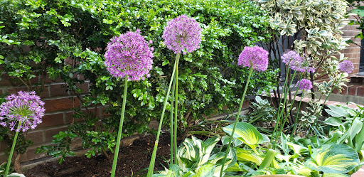 Movie Theater «Angelika Film Center & Café - New York», reviews and photos, 18 W Houston St, New York, NY 10012, USA