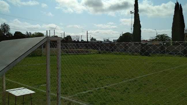 Estadio Baby Futbol