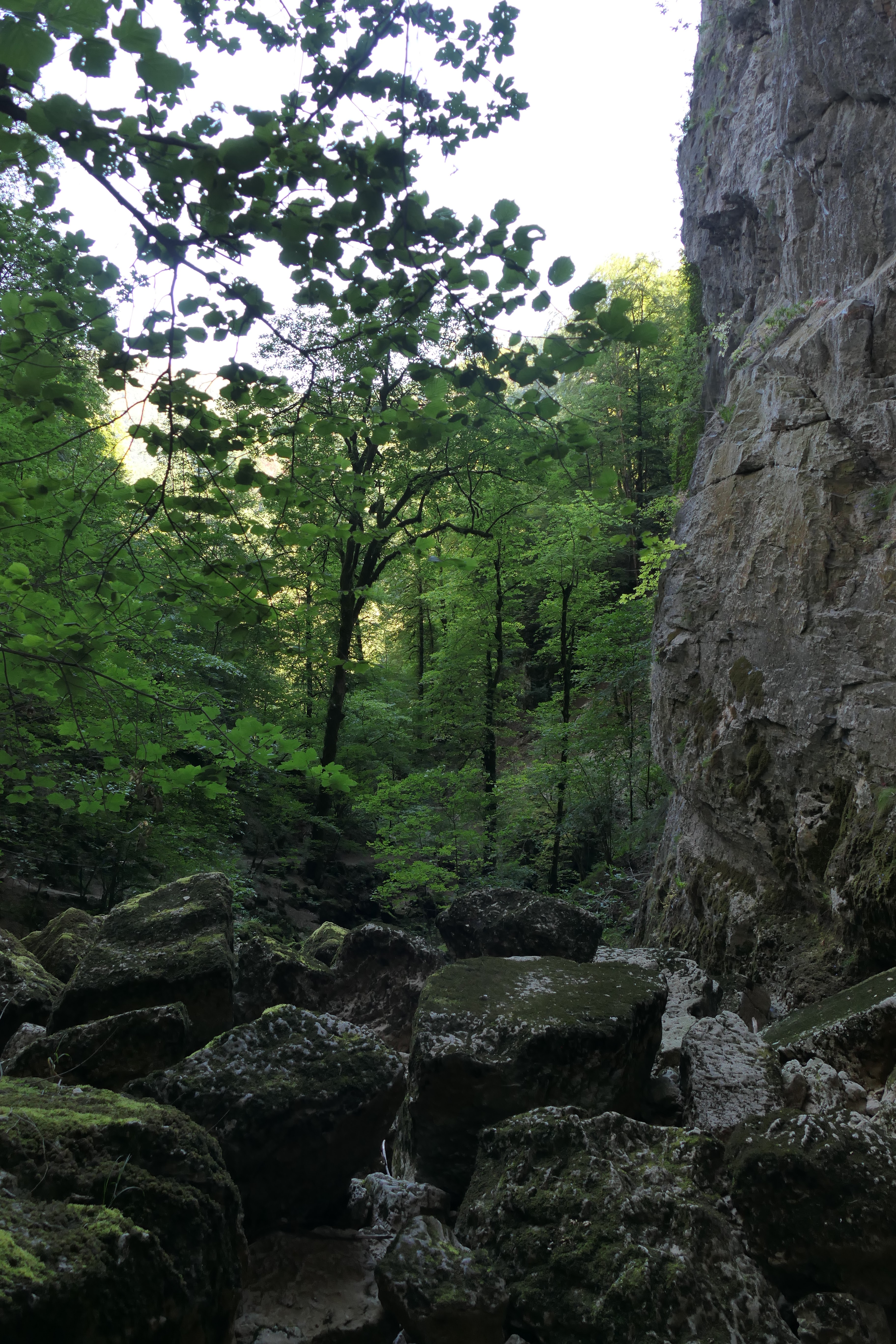 Photo n° 13 de l'avis de Hubert.o fait le 15/08/2023 à 16:36