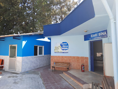 Aydın Büyükşehir Belediyesi Evcil Hayvan Bakım ve Rehabilitasyon Merkezi