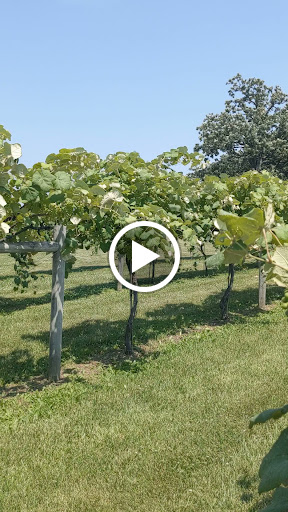 Winery «McEachran Homestead Winery», reviews and photos, 1917 Wyman School Rd, Caledonia, IL 61011, USA