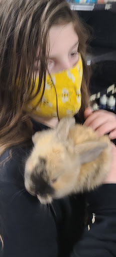 Tropical Fish Store «Caribbean Pets», reviews and photos, 298 Central Ave, Jersey City, NJ 07307, USA