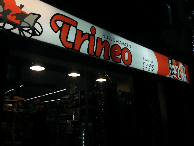 Nuevo Almacen Trineo