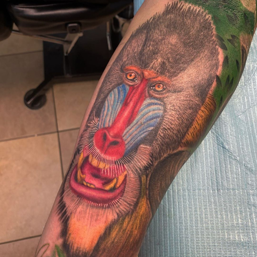 Tattoo Shop «Dark Horse Tattoos», reviews and photos, 395 Garrisonville Rd #103, Stafford, VA 22554, USA