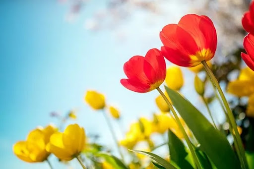 Funeral Home «Walker Sanderson Funeral Home», reviews and photos, 646 800 N, Orem, UT 84097, USA