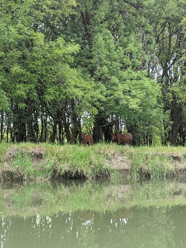 Canoe & Kayak Rental Service «Scappoose Bay Paddling Center», reviews and photos, 57420 Old Portland Rd, Warren, OR 97053, USA