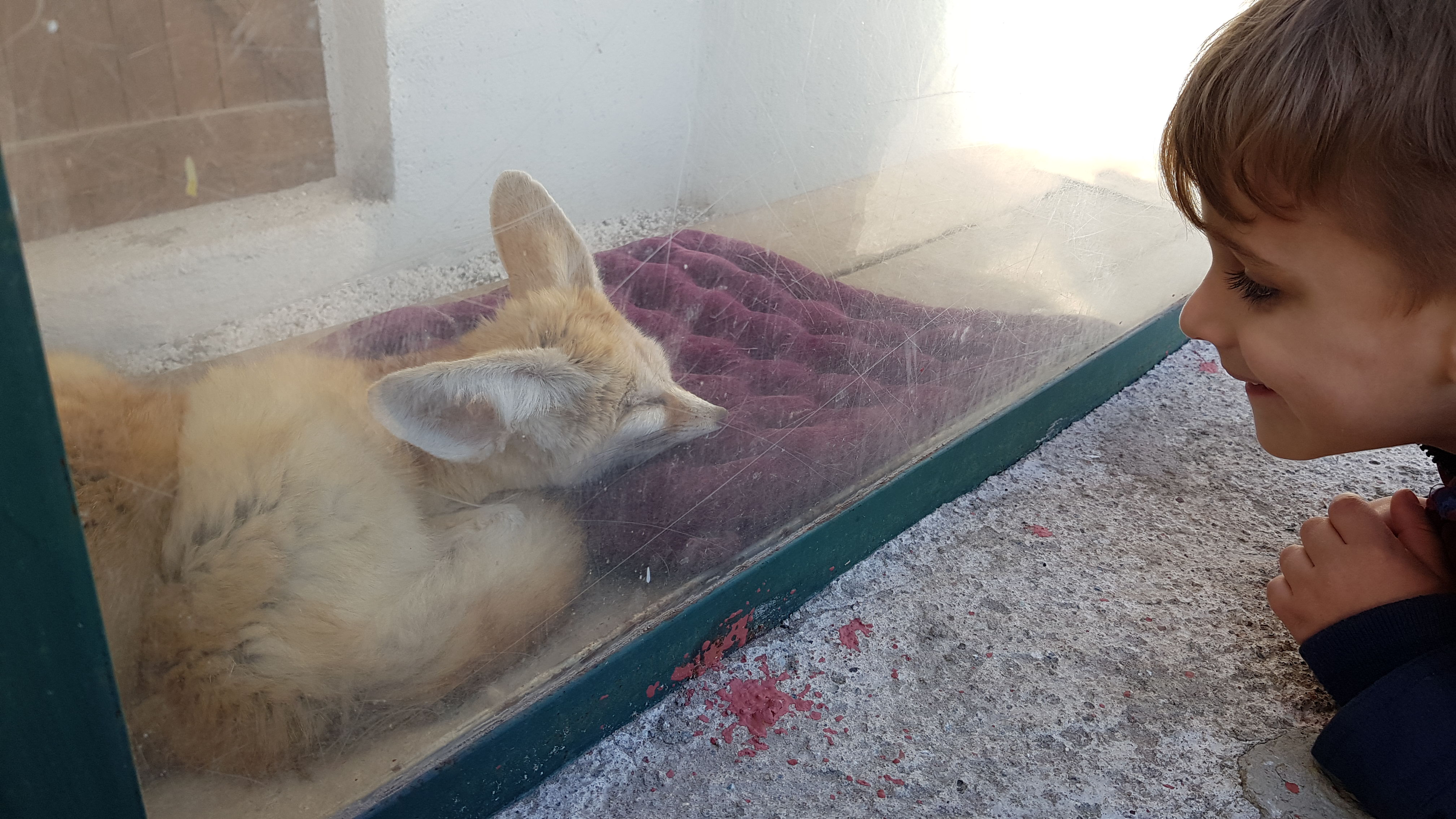 Photo n° 4 de l'avis de Julien.o fait le 17/03/2019 à 21:07