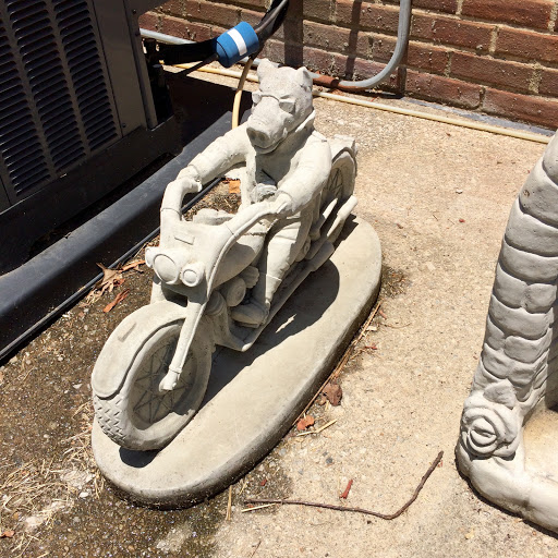 Pet Supply Store «The Stock Market Country Store», reviews and photos, 4479 Dover Pl SE, Conyers, GA 30013, USA