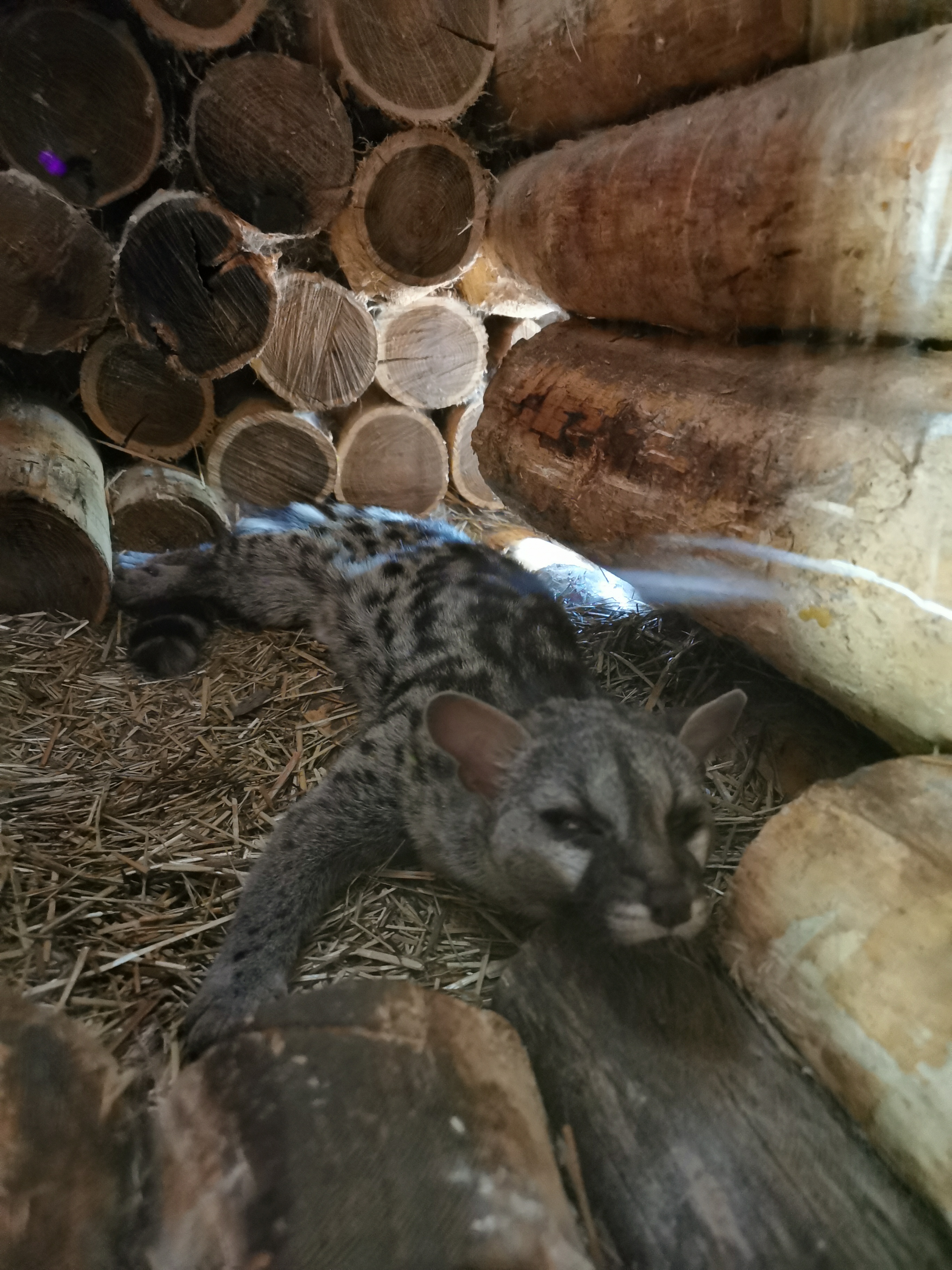 Photo n° 9 de l'avis de Axantiu. fait le 14/03/2021 à 10:18