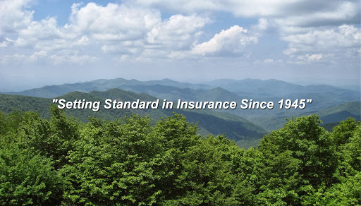 Insurance Agency «Green & Wooten Insurance», reviews and photos