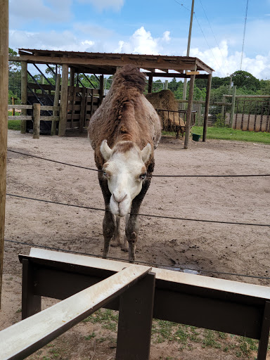 Zoo «Gulf Breeze Zoo», reviews and photos, 5701 Gulf Breeze Pkwy, Gulf Breeze, FL 32563, USA