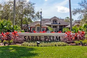 Sabal Palm at Carrollwood image