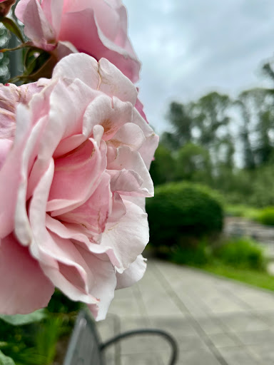 Park «The Park at Bothell Landing», reviews and photos, 9919 NE 180th St, Bothell, WA 98011, USA