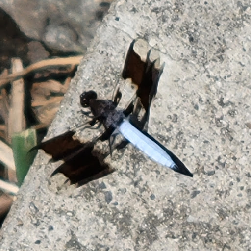 Park «Town of Arlington Menotomy Rocks Park», reviews and photos, 129 Jason St, Arlington, MA 02476, USA