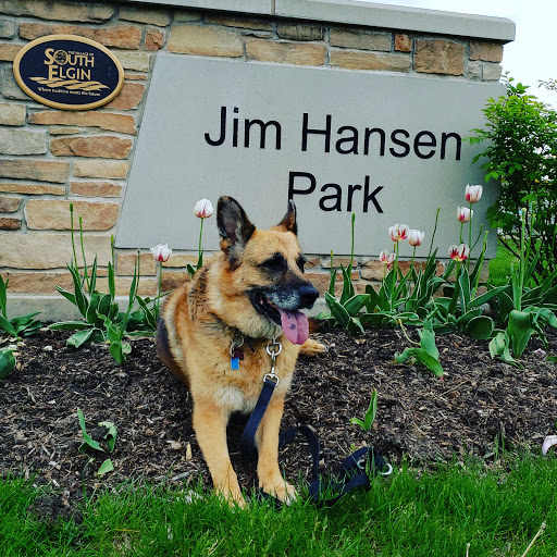 Park «Jim Hansen Park», reviews and photos, 338 Valley Forge Ave, South Elgin, IL 60177, USA