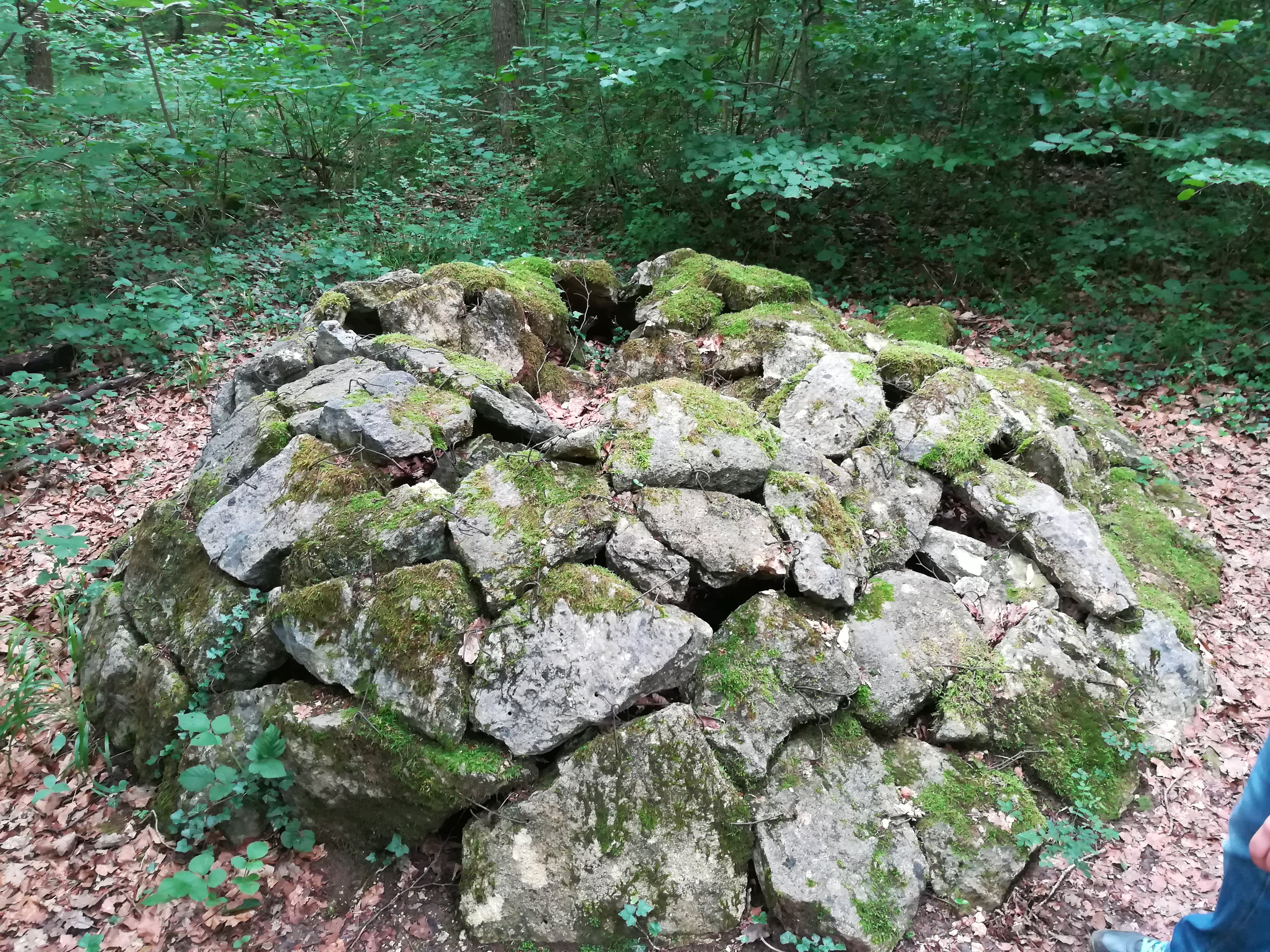 Photo n° 7 de l'avis de Johan.c fait le 27/07/2023 à 15:55