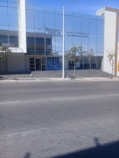 Instituto Universitario Del Centro De Mexico