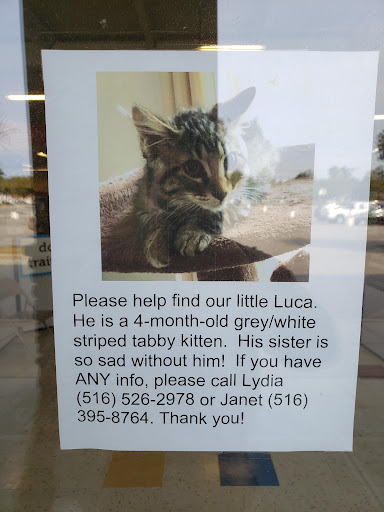Pet Supply Store «Petco Animal Supplies», reviews and photos, 30 Veterans Memorial Hwy, Commack, NY 11725, USA