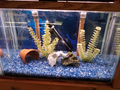 Pet Supply Store «All About Pets», reviews and photos, 9285 Cincinnati Columbus Rd, West Chester Township, OH 45069, USA