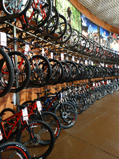 Bicycle Store «Bicycle Village - Westminster», reviews and photos, 9170 Wadsworth Pkwy, Westminster, CO 80021, USA