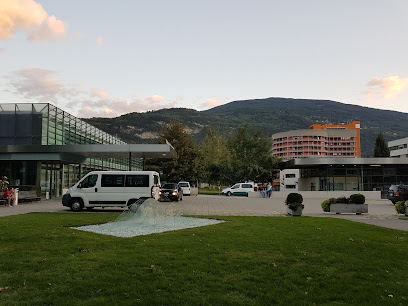 Institute Central Des Hôpitaux