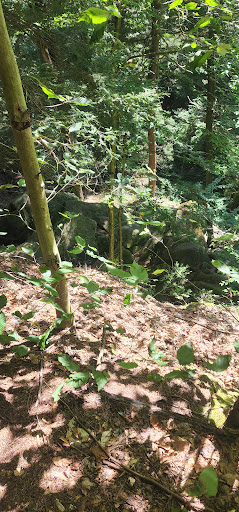 Vista Point «Ledges Overlook», reviews and photos, 405 Truxell Rd, Peninsula, OH 44264, USA