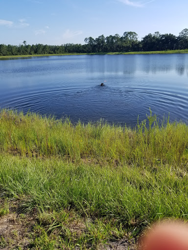 Movie Theater «Cobb Daytona Luxury Theatres», reviews and photos, 1850 Legend lane E100, Daytona Beach, FL 32114, USA