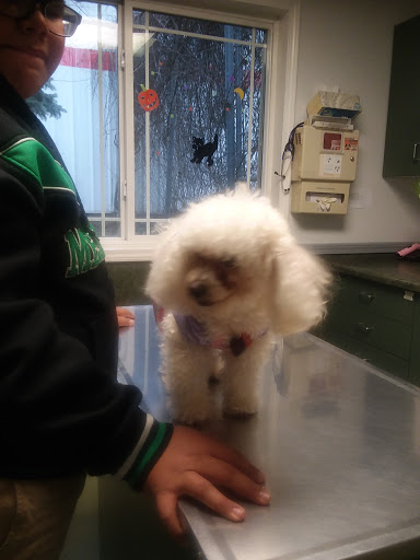 Rochelle Veterinary Hospital