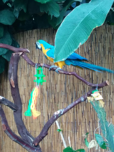 Aquarium «Loveland Living Planet Aquarium», reviews and photos, 12033 Lone Peak Pkwy, Draper, UT 84020, USA