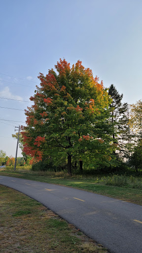Park «Coon Rapids Dam Regional Park», reviews and photos, 9750 Egret Blvd NW, Coon Rapids, MN 55433, USA
