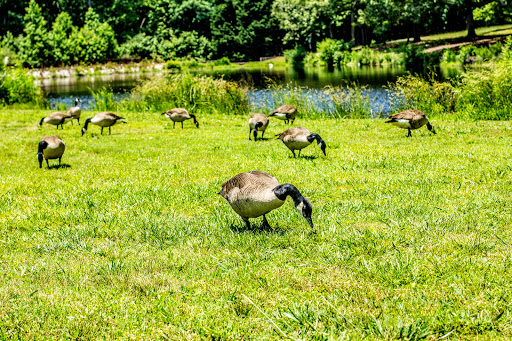 Park «Lenora Park», reviews and photos, 4515 Lenora Church Rd, Snellville, GA 30039, USA