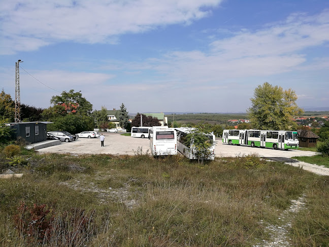 Alcsúti úti parkoló - Parkoló