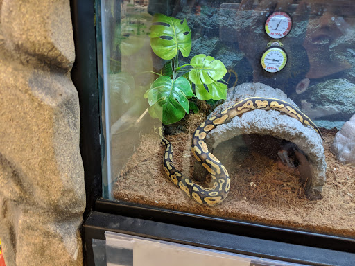 Pet Supply Store «Petco Animal Supplies», reviews and photos, 205 Ken Pratt Blvd #280, Longmont, CO 80501, USA