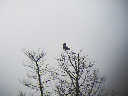 Nature Preserve «Clamming Creek Preserve», reviews and photos, Bayview Ave, Bayville, NJ 08721, USA
