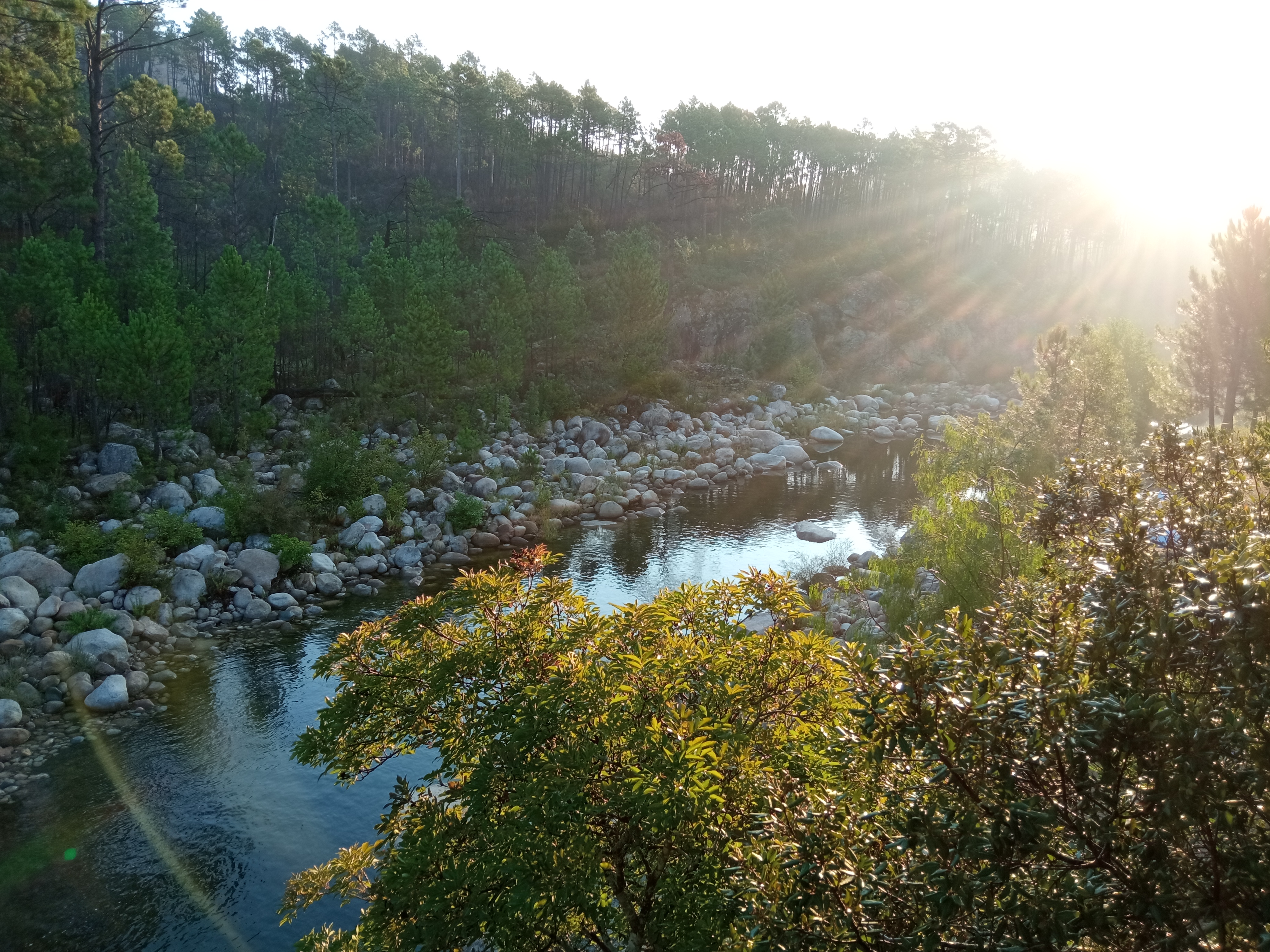 Photo n° 2 de l'avis de anassi95. fait le 24/09/2021 à 16:46