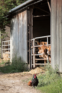 Photos du propriétaire du Restaurant de cuisine traditionnelle Ferme de Garance à Magnac-Laval - n°11