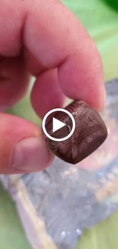 Grocery Store «Kiev Euro Deli», reviews and photos, 29821 US Hwy 19 N, Clearwater, FL 33761, USA