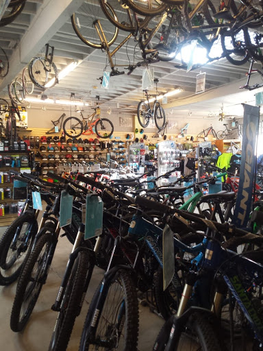 Bicycle Store «Cal Coast Bicycles», reviews and photos, 3020 Adams Ave, San Diego, CA 92116, USA