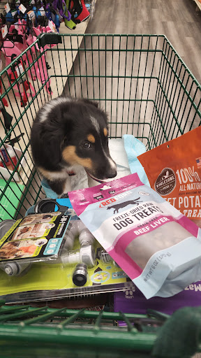 Pet Supply Store «Pet Supplies Plus», reviews and photos, 283 Middle Turnpike W, Manchester, CT 06040, USA