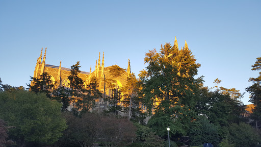 Church «Duke University Chapel», reviews and photos, 401 Chapel Dr, Durham, NC 27708, USA