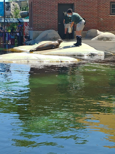 Zoo «Kovler Sea Lion Pool», reviews and photos, 2001 N Clark St, Chicago, IL 60614, USA