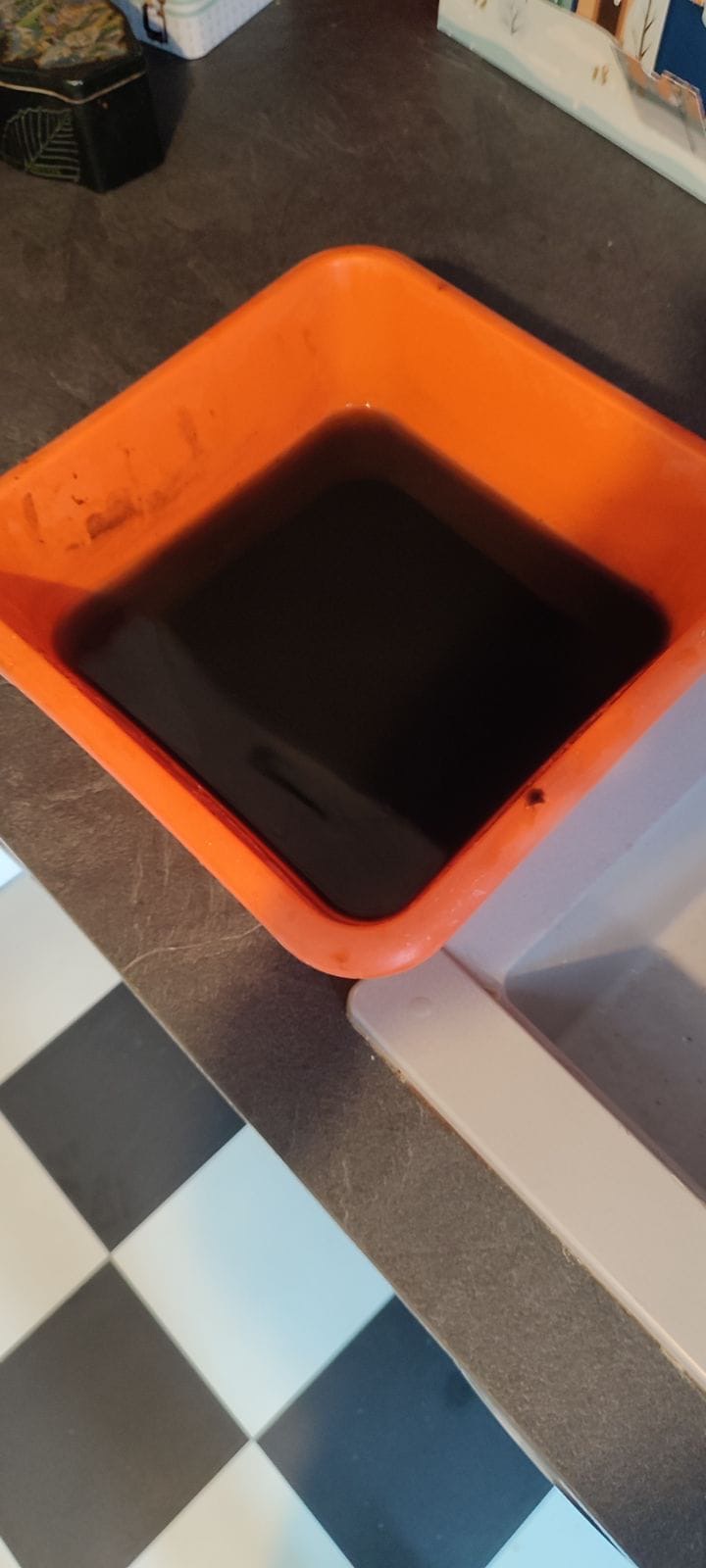 Photo n° 1 de l'avis de Clara. fait le 11/08/2022 à 17:24