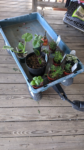 Garden Center «Lake Anna Nursery», reviews and photos, 71 Oak Grove Dr, Mineral, VA 23117, USA