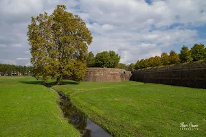 Mura di Lucca image